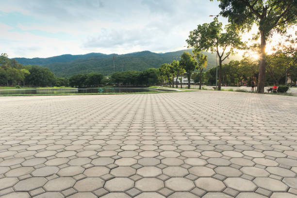 Best Brick Driveway Pavers  in Succasunna, NJ